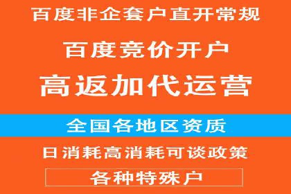 谷歌竞价广告的关键词选择与优化案例